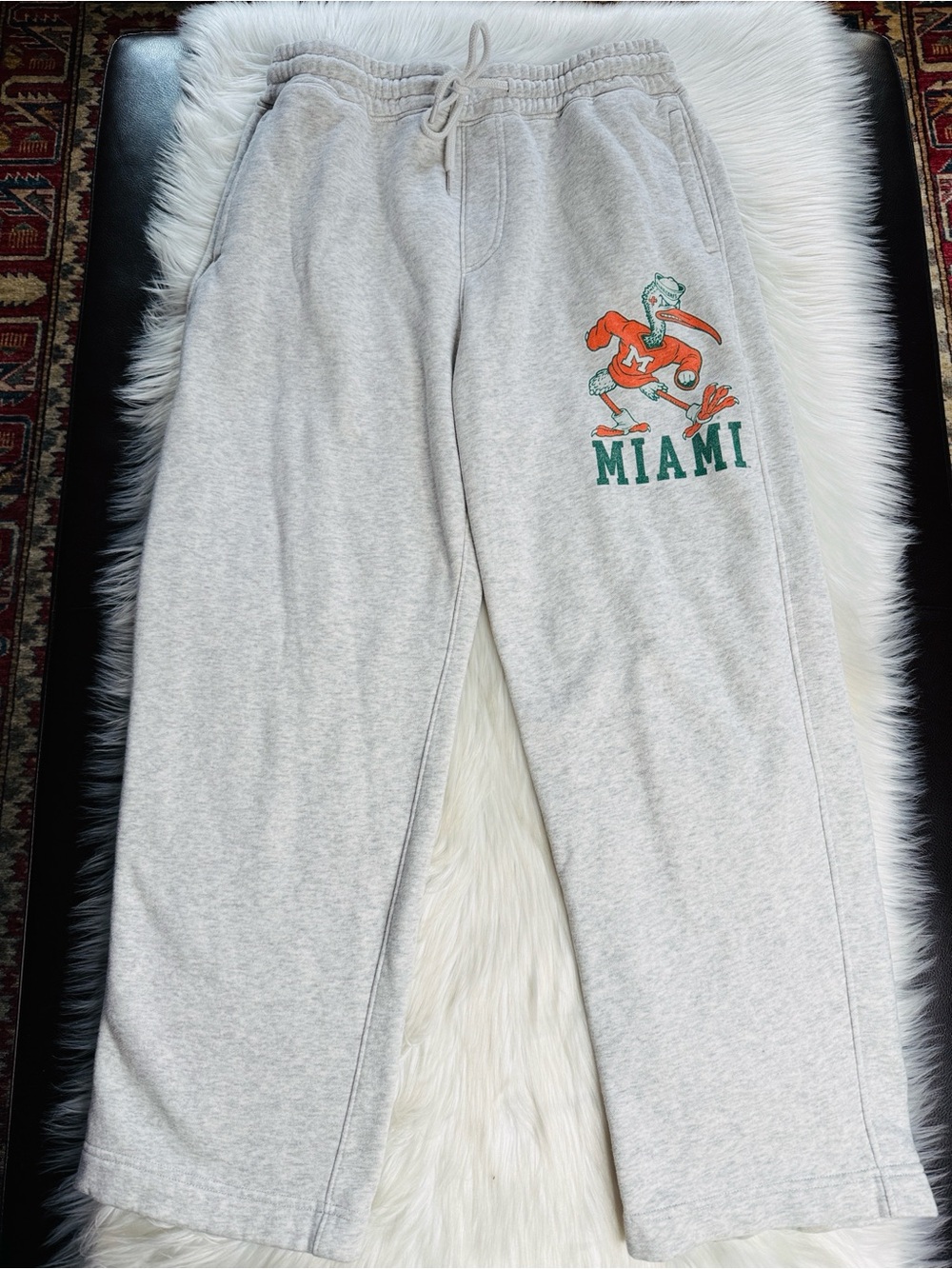 Hollister Gray Straight Leg U of Miami Hurricanes Sebastian the Ibis Sweatpants
